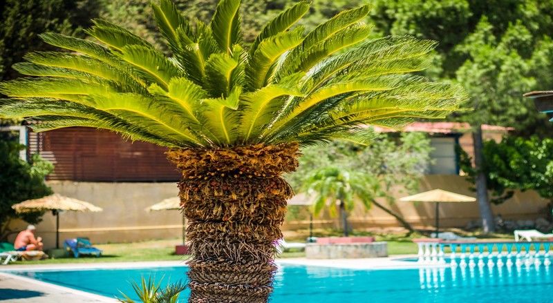 Achousa Hotel Faliraki Bagian luar foto