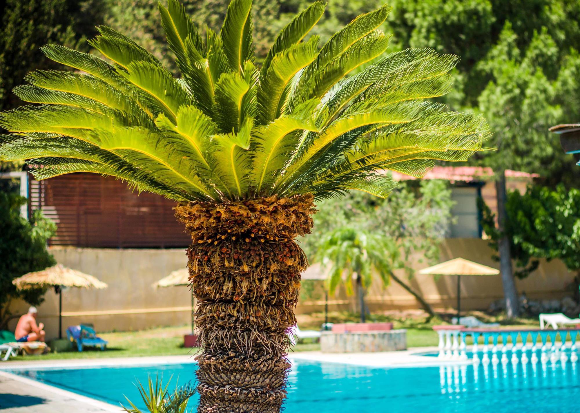 Achousa Hotel Faliraki Bagian luar foto